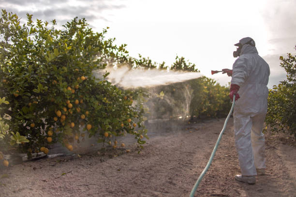 Best Emergency Pest Control  in Fruitland, MD