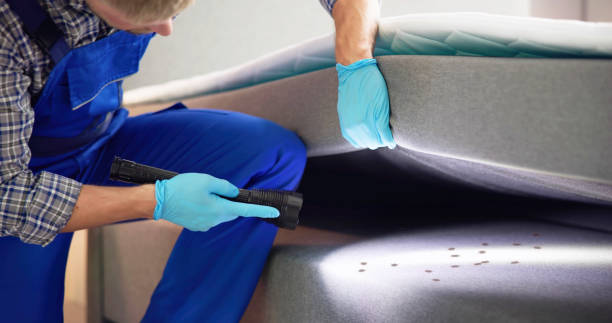 Best Termite Control Services  in Fruitland, MD