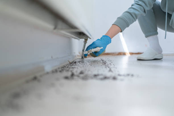 Best Affordable Exterminators  in Fruitland, MD