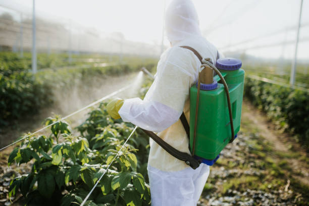 Best Rat Extermination Near Me  in Fruitland, MD